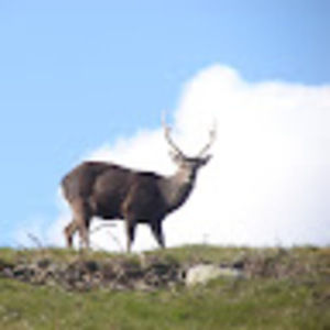 Meet your Posher, Francesca